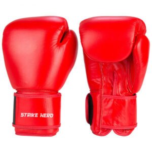 Premium Boxing Gloves