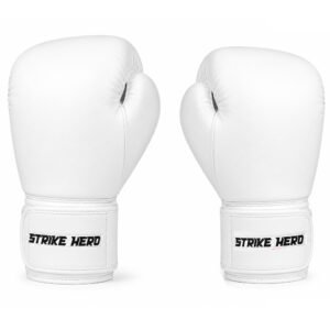 Premium Boxing Gloves